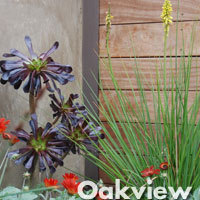 Oakview - Garden 3