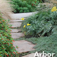 Arbor - Garden 7