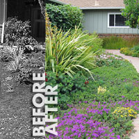 Before and After Gardens